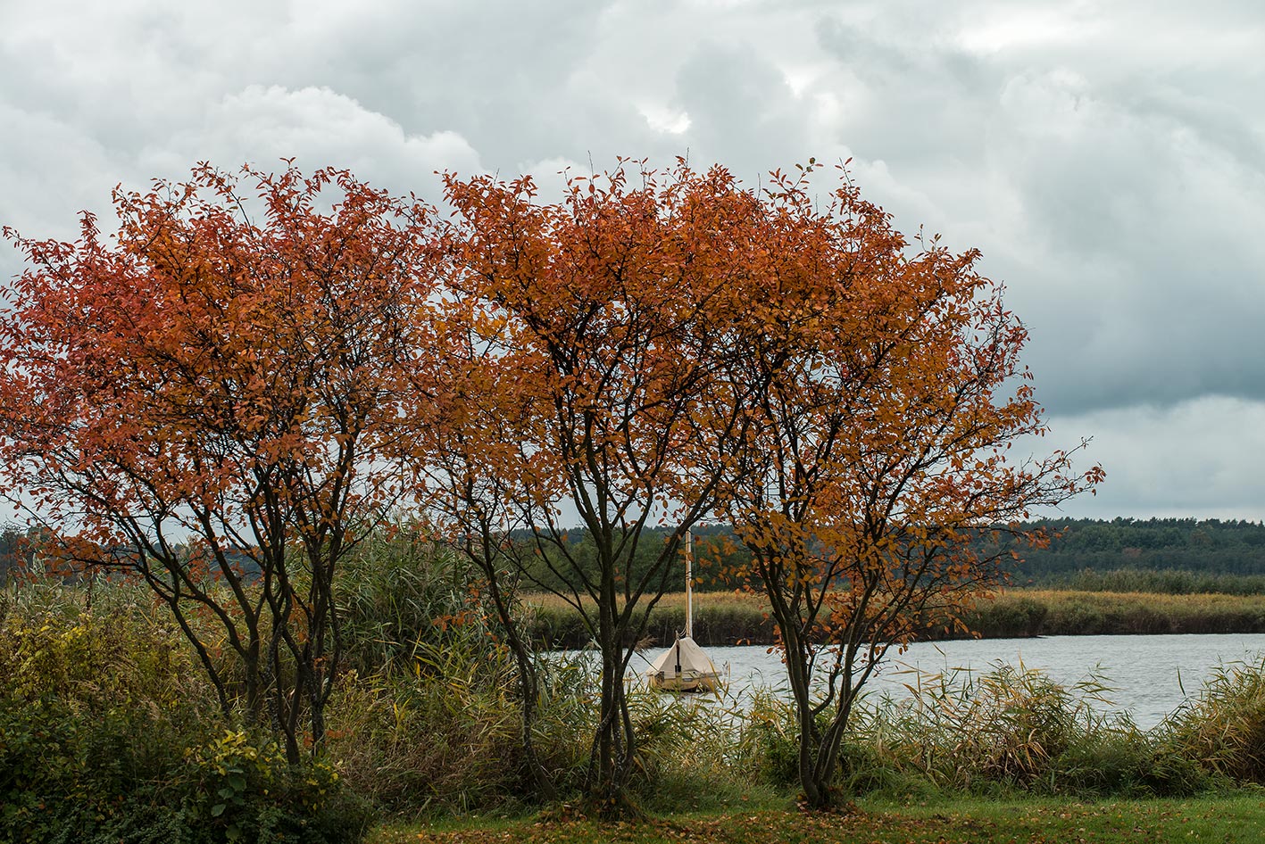 Es erwartet Sie Natur pur für ausgiebige Spaziergänge, ...